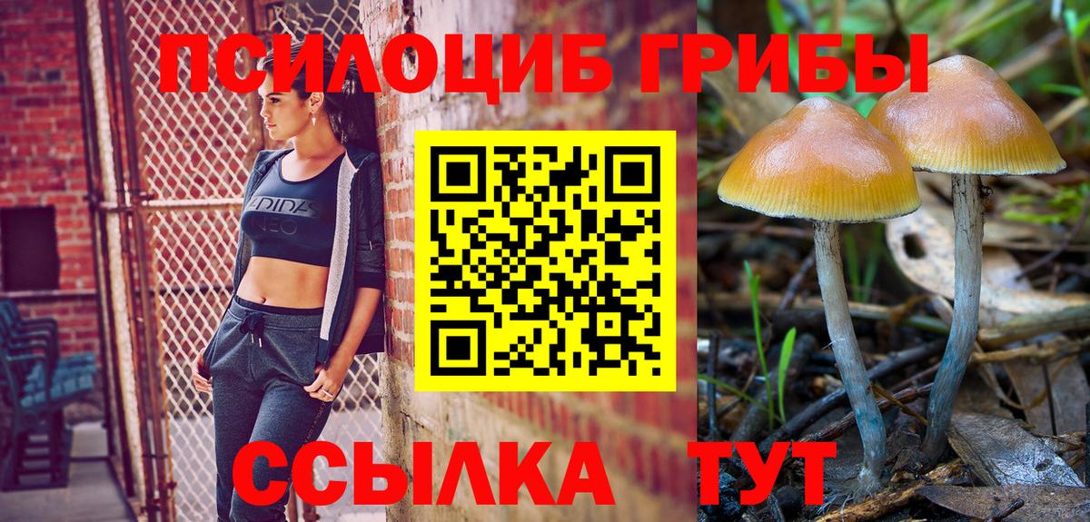 Псилоцибиновые грибы MAGIC MUSHROOMS Родники