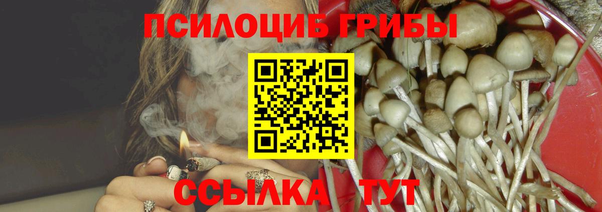 Родники  Псилоцибиновые грибы Cubensis  Вход с VPN 